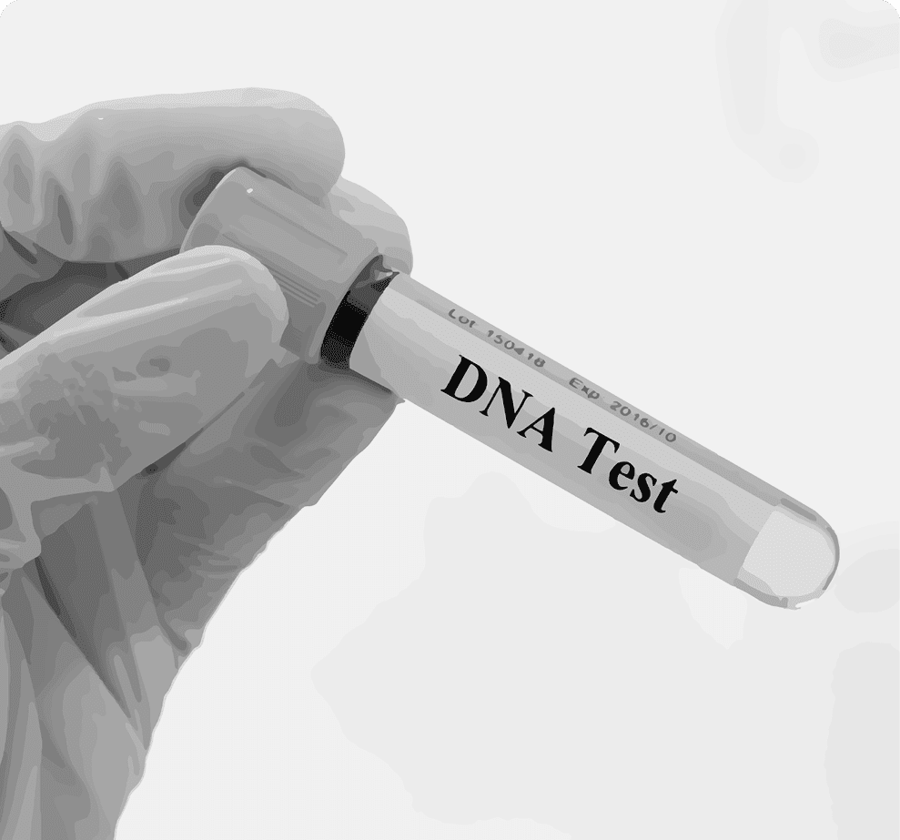 DNA/Paternity Test